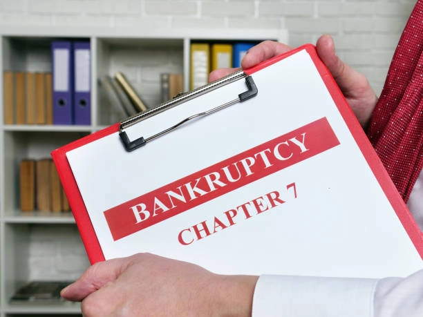 Avoid When Filing Chapter 7 Bankruptcy Alone