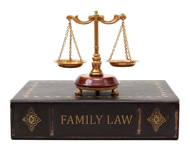 divorce without a lawyer - Legal Case Review divorce without a lawyer