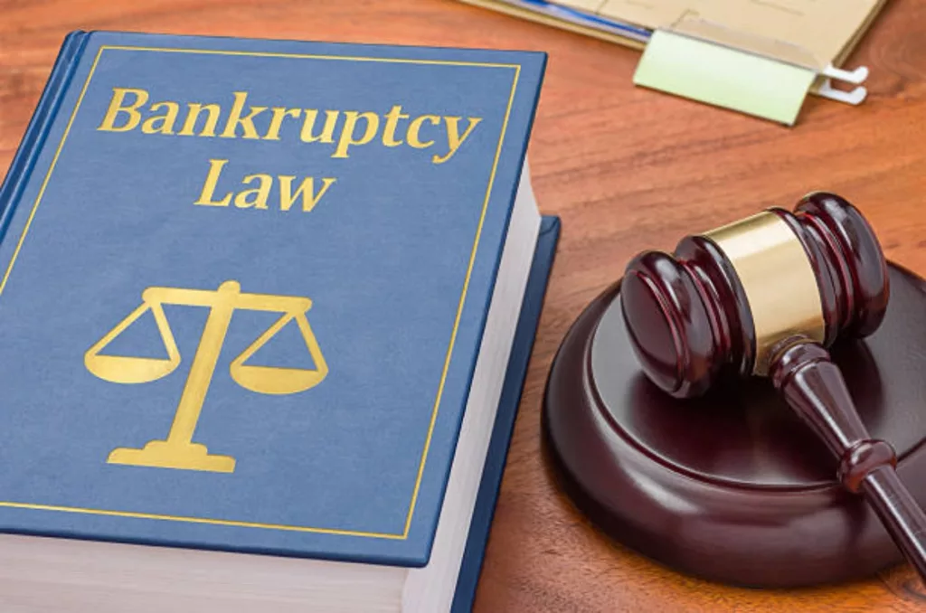 Can You File Bankruptcy Without a Lawyer? Know the Truth