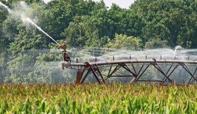paraquat-weed-killer